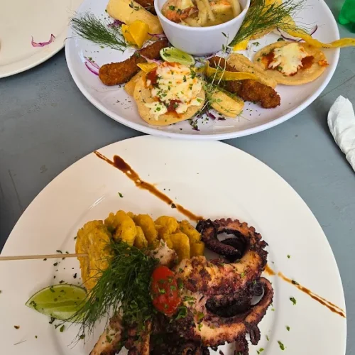 unnamed-4-9-69022c2294d4d